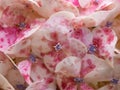Pink and white hydrangea i