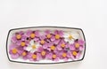 Pink with White Japanese Anemone Blooms Floating in Water in Dish