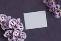 White orchid flowers with blank paper card on gark gray background