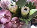 Proteas, orchids. Pink, white spotted orchids with pale yellow, rose proteas, lotus flower seed heads in flowering arrangement