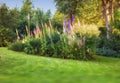 Pink, white and purple foxglove flowers growing in quiet, green and herbal home garden with copy space. Digitalis Royalty Free Stock Photo