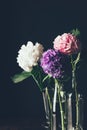 pink white and purple hortensia bloom in glass vases