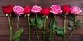 Pink, White and Red Roses