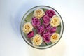 Pink and white roses in a bowl with water on a white background Royalty Free Stock Photo