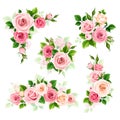 Pink and white roses. Set of vector floral design elements Royalty Free Stock Photo