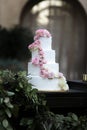 Pink and White  tiered wedding cake in an  outdoor setting Royalty Free Stock Photo