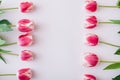 Pink and white tulips on white background. Flat lay, top view, copy space