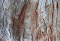 Pink with white veins red granite texture background Royalty Free Stock Photo
