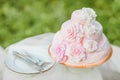 Pink and white wedding cake Royalty Free Stock Photo