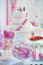 Pink and white wedding cake Royalty Free Stock Photo