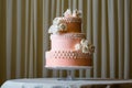 Pink and white wedding cake Royalty Free Stock Photo