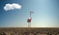 Pink wild flamingo in severe drought desert