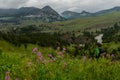 Pink Wildflowers in front of Woman Hiking Royalty Free Stock Photo