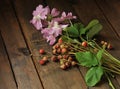 Pink wildflowers and wild strawberry on an old wooden background. Still life.