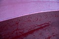 Pink and wine red colors surface of wet umbrella closeup with water drops Royalty Free Stock Photo