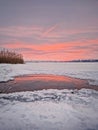 Pink winter sunset over the frozen lake in a snowy day Royalty Free Stock Photo