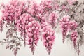 Pink Wisteria hand drawn with ink on white background