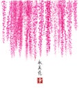 Pink Wisteria hand drawn with ink on white background. Contains hieroglyph - happiness, eternity, beauty, flower