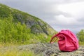 Pink woman`s bag forgotten in Norwegian countryside in Norway