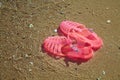 Pink Women`s JELLY SANDALS on a sea shore. LADIES FLAT JELLIES SUMMER BEACH SHOES.