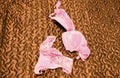 Pink women`s underwear on the bed. fetish