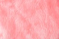 Pink wool texture