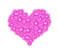 Pink Yarrow Flowers in A Heart Shape