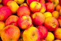Pink and yellow apples on the market Royalty Free Stock Photo