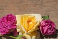 Pink and yellow beatiful roses on the wooden surface