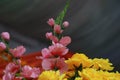 pink and yellow color flower decored in the hall. Royalty Free Stock Photo