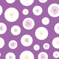 Pink, yellow daisies ditsy in bubbles, seamless pattern design. Royalty Free Stock Photo