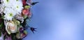 Pink and yellow eustoma flowers and roses on a white background. Festive flower arrangement. Royalty Free Stock Photo