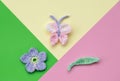 Pink, yellow and green background, crochet butterfly, flower and leaf, spring time Royalty Free Stock Photo