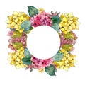 Pink and yellow hydrangea flowers. Floral botanical flower.Frame border ornament square.