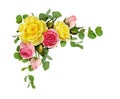 Pink and yellow rose flowers with eucalyptus leaves Royalty Free Stock Photo