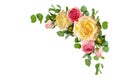 Pink and yellow rose flowers with eucalyptus leaves in a corner Royalty Free Stock Photo