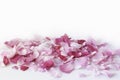 Pink rose petals. Floral background. Ingredients for natural cosmetics. Top view, soft focus Royalty Free Stock Photo