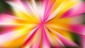 Pink and Yellow Sunburst Background Vector Illustration Royalty Free Stock Photo