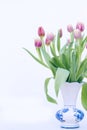 Pink and yellow Tulips in Vase Royalty Free Stock Photo