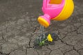 A pink yellow watering can water the ground. Drops of water spill, dissipate moisturize the earth. Help fight the drought. Royalty Free Stock Photo