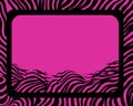 a pink zebra print background with a square frame Royalty Free Stock Photo