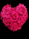 pink heart rose shape isolated, with vertical black background clipping path flowers. card notebook.
