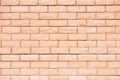 Pinky Brick Wall Backdrop