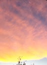 Colorful sky view at sunset on a late December day Royalty Free Stock Photo