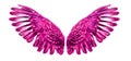 Pink Angel wings an isolated on background Royalty Free Stock Photo