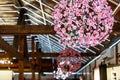 Pinl flowered chandeliers hang from a wooden wall