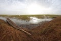 Pinnace in the delta of Niger in Mopti Royalty Free Stock Photo