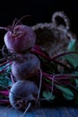 Pinnacle of 3 fresh organic beets, beetroot with basket. Close view3 Royalty Free Stock Photo