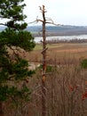 Pinnacle mountain state park Royalty Free Stock Photo