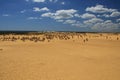 Pinnacles Desert,Western Australia